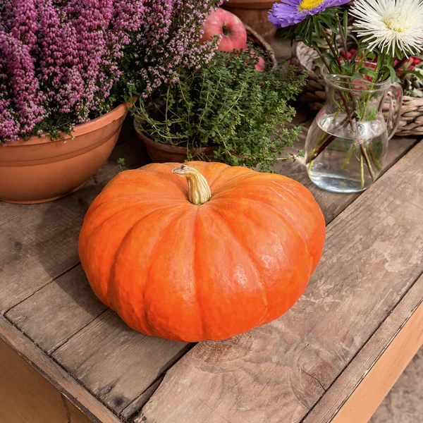 Büyük bir portakal kabağı ve sonbahar çiçekleri ahşap bir stantta. Kapatın. Renkli sonbahar hasadı.