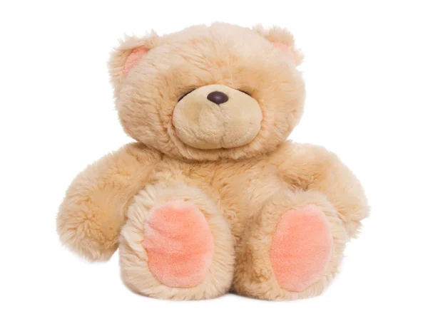 Teddy — Stock Photo, Image