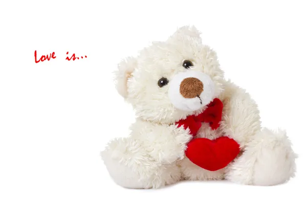 Teddy — Stock Photo, Image