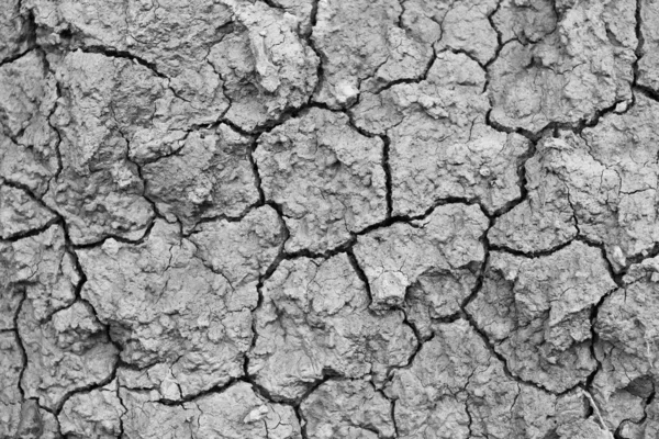 Dry ground — Stock Photo, Image