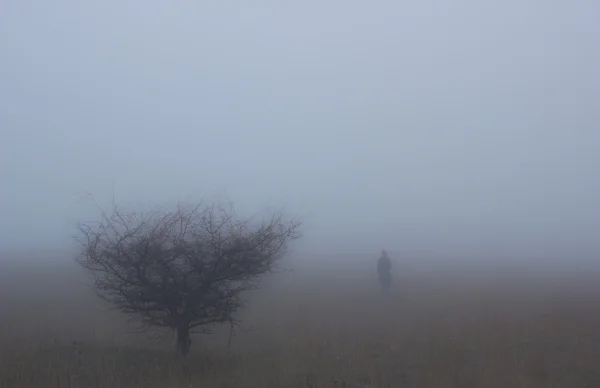 Niebla misteriosa — Foto de Stock