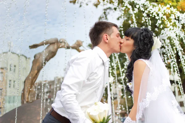 Boda — Foto de Stock