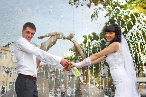 Hochzeit — Stockfoto