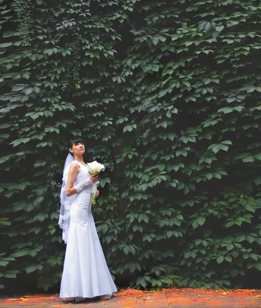 Boda — Foto de Stock