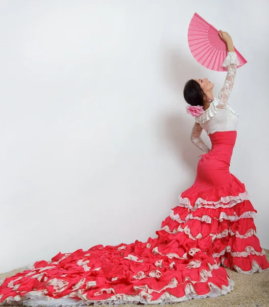 Фламенко — стокове фото