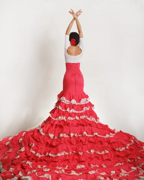 Flamenco — Foto de Stock