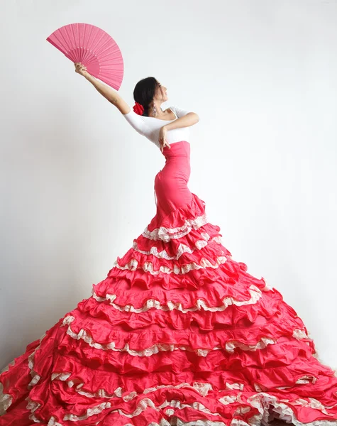 Фламенко — стоковое фото