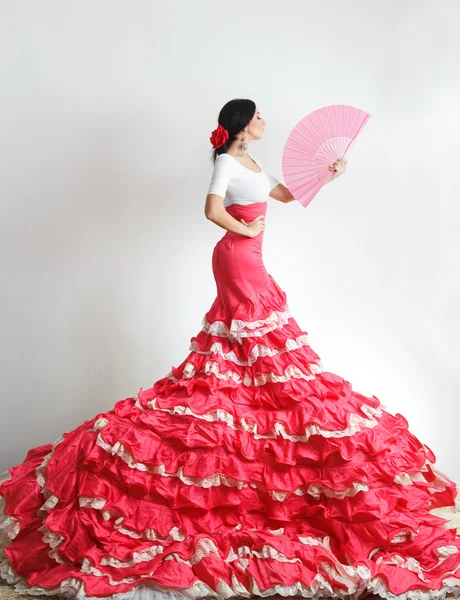 Flamenco — Zdjęcie stockowe