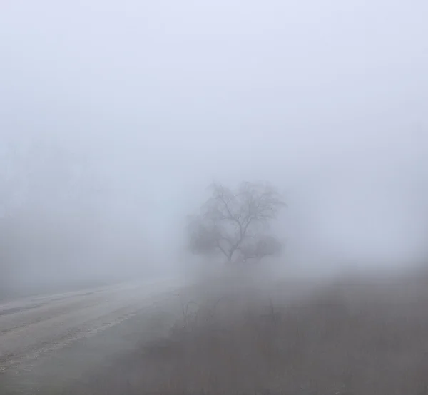 Mist in de stad — Stockfoto