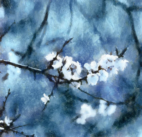 Бранч дерев з білими квітами — стокове фото