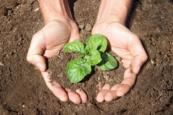 Earth day — Stock Photo, Image