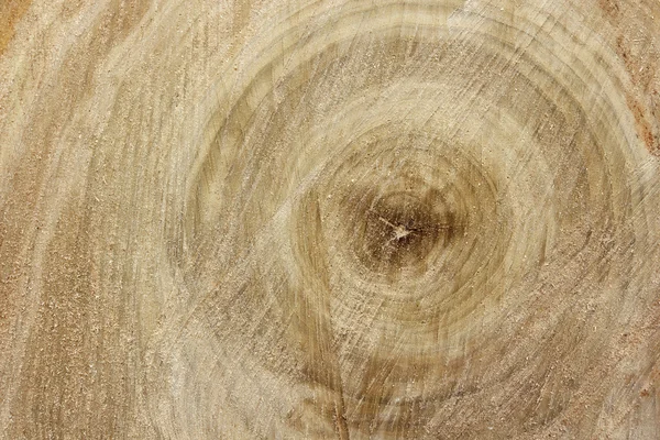 Sfondo texture in legno — Foto Stock