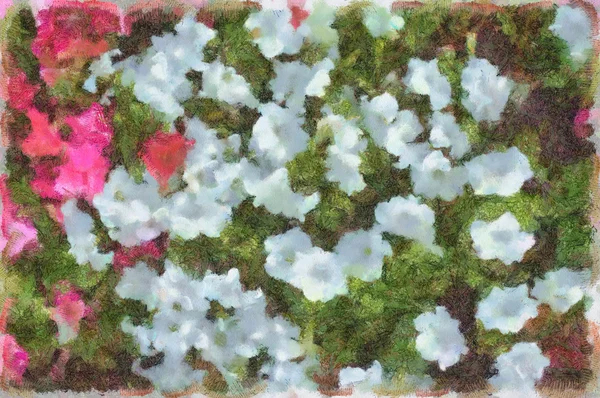 Flowers.Watercolor — Stock fotografie