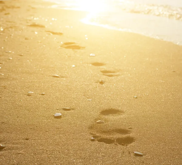 Sommerzeit — Stockfoto