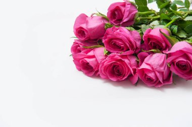 Beyaz arka planda pembe güller.