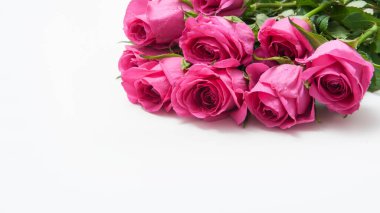 Beyaz arka planda pembe güller.