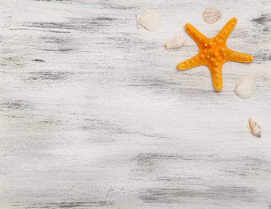 Turuncu deniz yıldızı ve kabuklu ahşap zemin.