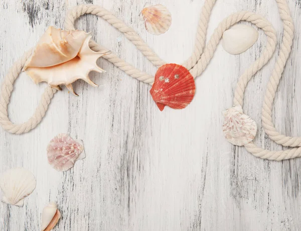 Fondo marino con cuerdas y conchas marinas — Foto de Stock