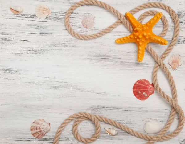 Nautical background with ropes, shells and starfish