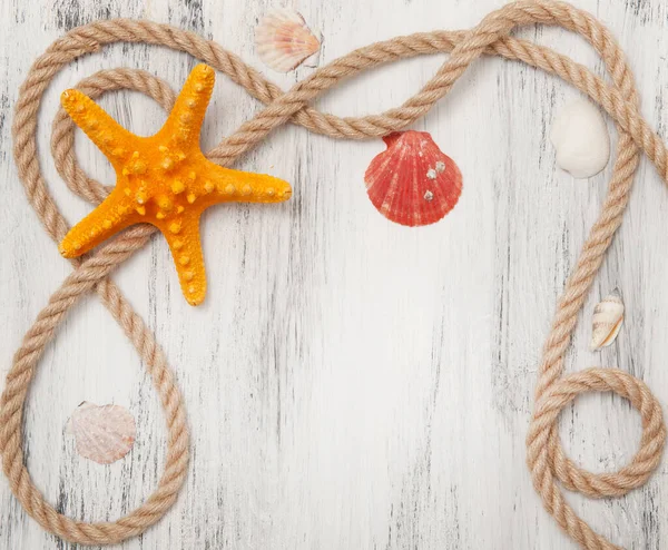 Fondo náutico con cuerdas, conchas y estrellas de mar — Foto de Stock