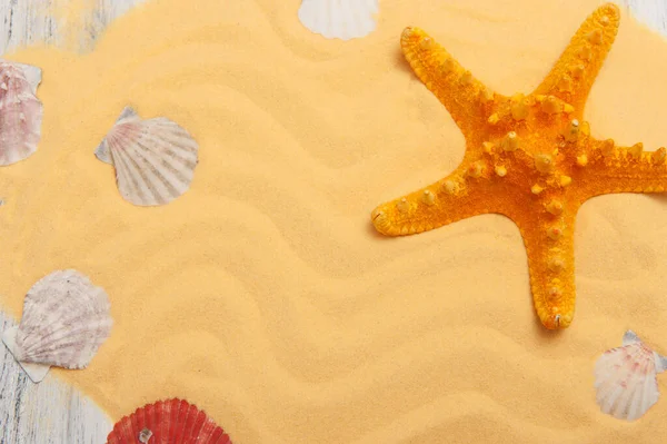Fondo marino con estrellas de mar de color naranja y arena amarilla. — Foto de Stock