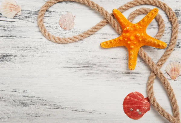 Halatlar, kabuklar ve deniz yıldızlarıyla donatılmış bir arka plan.