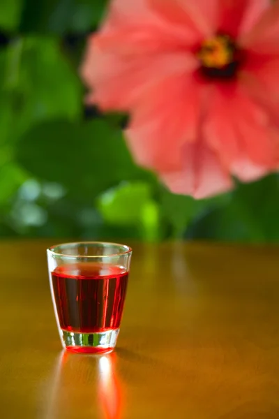 Ein kleines Glas mit Schnaps — Stockfoto