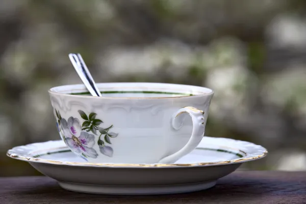 Filiżanka do herbaty — Zdjęcie stockowe