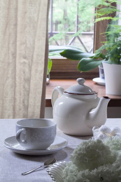 Teacup and teapot — Stock Photo, Image