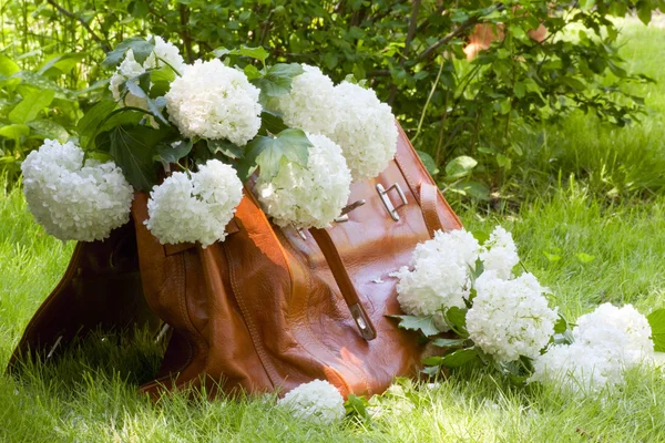 Alfombra llena de flores blancas — Foto de Stock