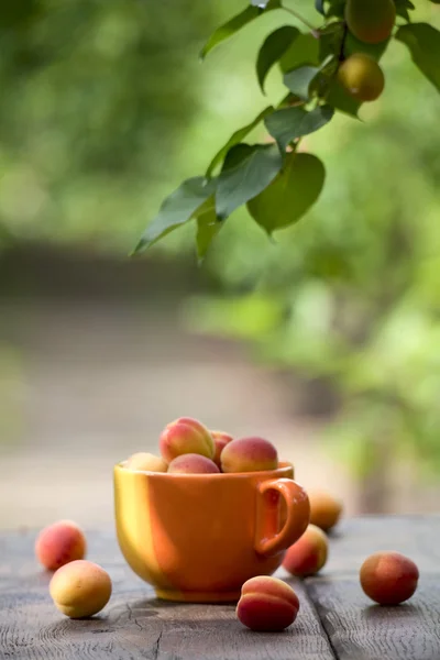 Albaricoques sobre una mesa vieja — Foto de Stock