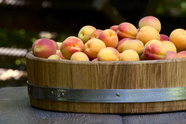 Apricots in a wooden bowl — Stock Photo, Image