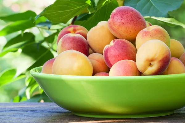 Apricots in a ceramic bowl — Stock Photo, Image