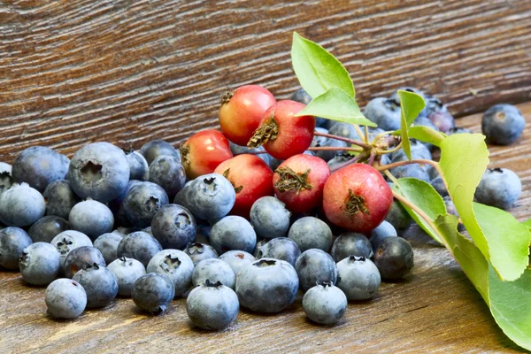 Blueberries and wild apples — Stock Photo, Image