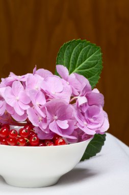 Frenk üzümü ve pembe çiçekler