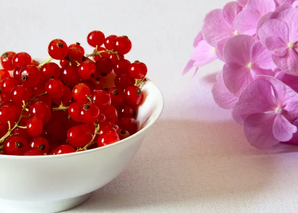 Rote Johannisbeeren in einer Schüssel — Stockfoto