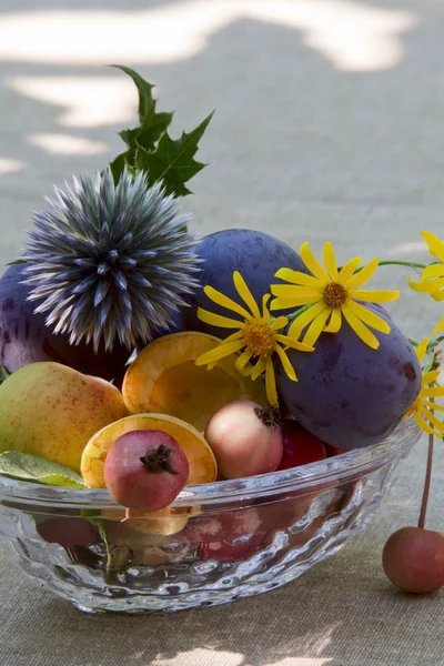 Gyönyörű érett gyümölcs és a vadvirágok — Stock Fotó