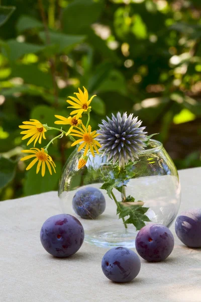 Ripe plums and wild flowers — Stock Photo, Image