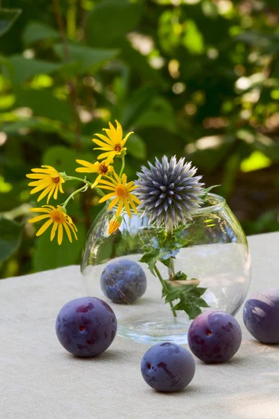 Mogna plommon och vilda blommor — Stockfoto