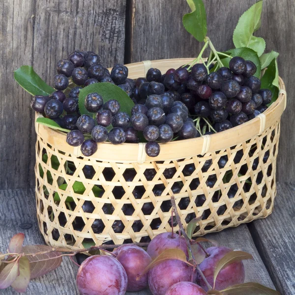 Black chokeberries and plums — Stock Photo, Image