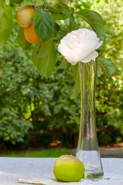 Ochtend versheid — Stockfoto