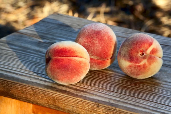 Ripe peaches — Stock Photo, Image