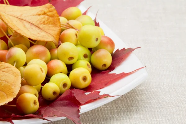 Dessert ab Herbst — Stockfoto