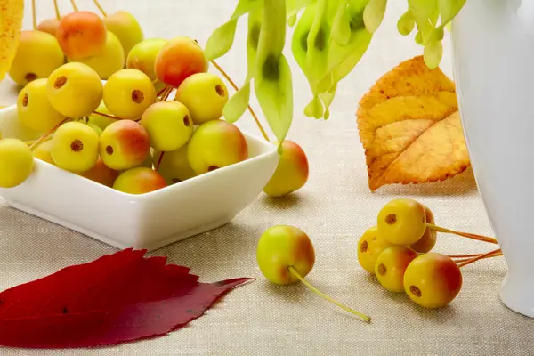 Dessert from autumn — Stock Photo, Image