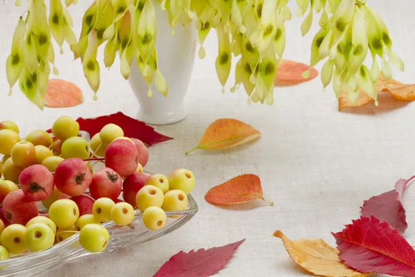 Sobremesa de outono — Fotografia de Stock