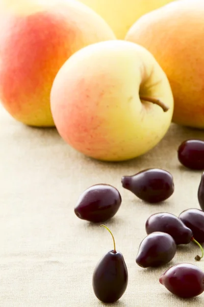 Kornoelje bessen en appels — Stockfoto