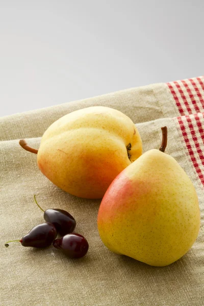 Ripe pears and dogwood — Stock Photo, Image