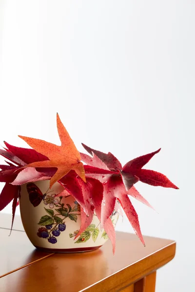 Autumn leaves in a ceramic vase — Stock Photo, Image