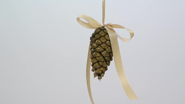 Pine cone ornament FullHD 1080p — Stock Video