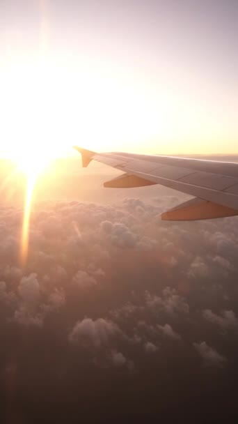 Ala de um avião voando acima das nuvens em luz solar brilhante — Vídeo de Stock